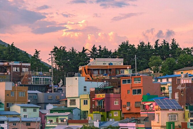 [Photography Tour] Busan Night Tour (Max. 7 Pax) - Why this tour works for Busan after dark