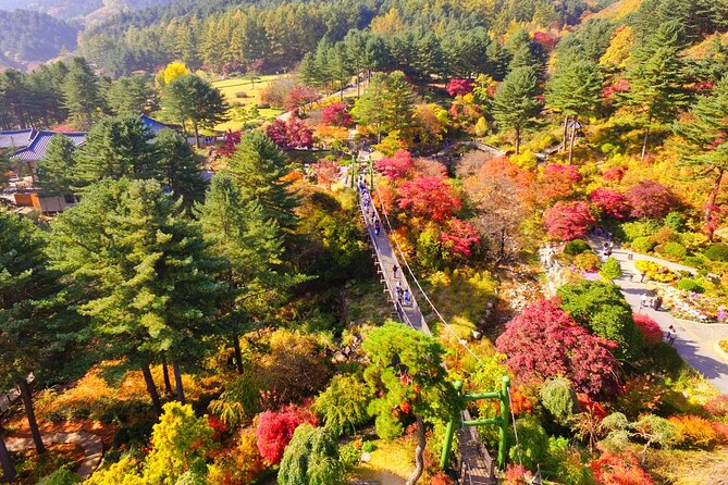 Pocheon Art Valley, Garden & Fruit Picking Day Tour from Seoul - The seasonal fruit stop: apples, strawberries, or a change