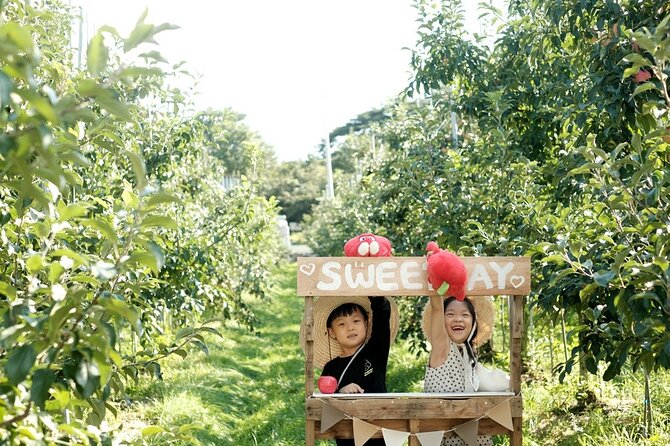 Pocheon Art Valley, Garden & Fruit Picking Day Tour from Seoul - Transport, group size, and what the price covers