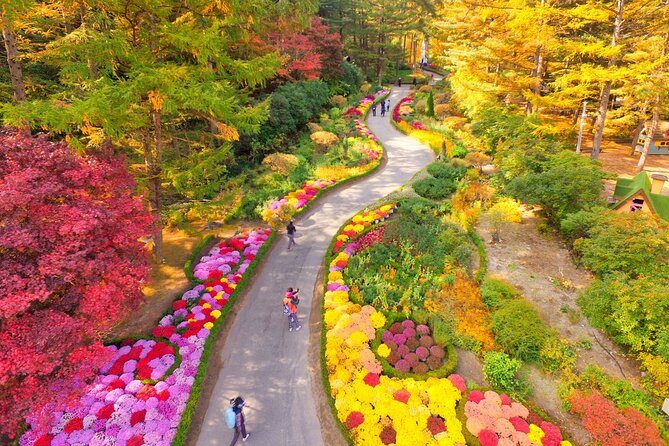 Pocheon Art Valley, Garden & Fruit Picking Day Tour from Seoul - Who should book this experience
