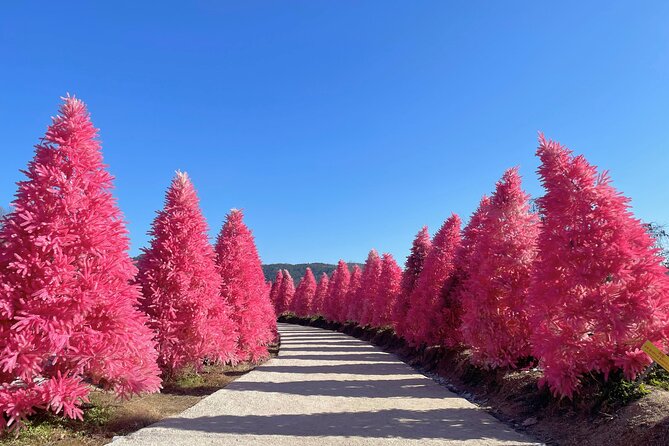 Pocheon Highlights 1 Day Tour - Leaving Seoul for Pocheon