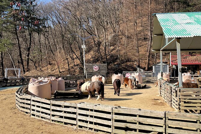 Pocheon Highlights 1 Day Tour - Walking, comfort, and group expectations
