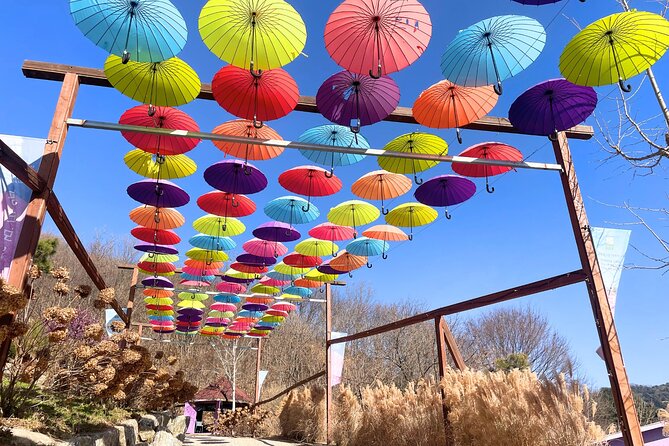 Pocheon Highlights 1 Day Tour - Should you book the Pocheon Highlights tour?
