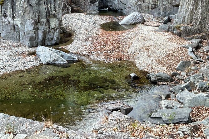 Pohang And Gyeongju Hiking And Makgeolli Brewing - Brewing makgeolli with a traditional meal