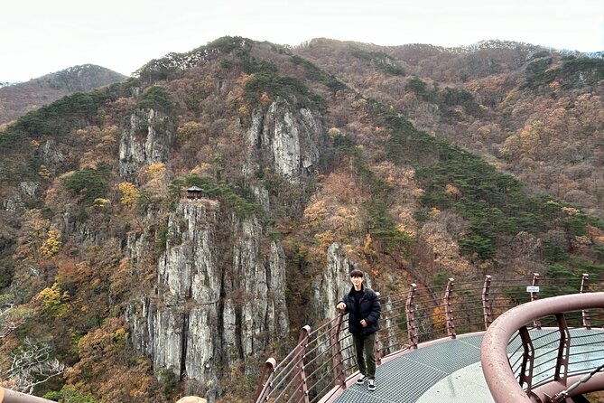 Pohang And Gyeongju Hiking And Makgeolli Brewing - How the $100 price works for you