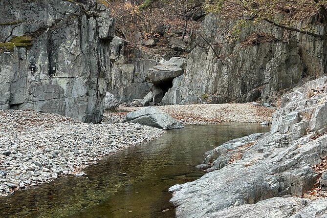 Pohang And Gyeongju Hiking And Makgeolli Brewing - Weather, cancellation, and practical planning