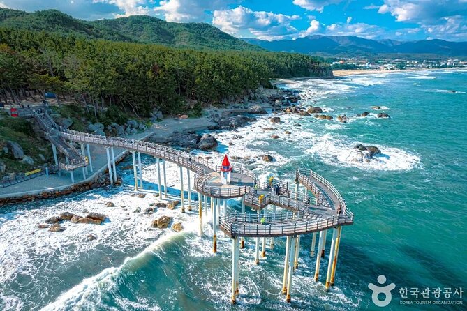 Pohang Highlights & Private Tour with a Licensed guide - Homigot Sunrise Plaza and Korea’s Eastern Edge