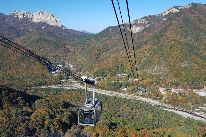[Premium Private Tour] Mt Seorak & East Sea or Nami island from Seoul - Leaving Seoul for Seoraksan National Park