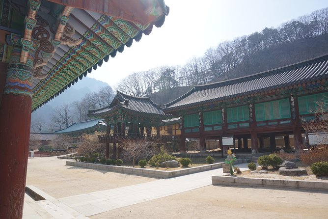 [Premium Private Tour] Mt Seorak & East Sea or Nami island from Seoul - Swapping the coast for Nami Island