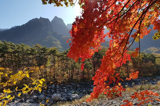 [Premium Private Tour] Mt Seorak & East Sea or Nami island from Seoul - What the $258 price really buys you