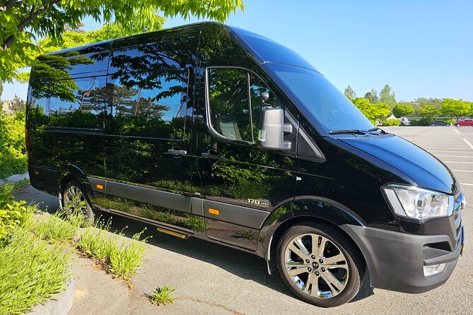 Private Airport Transfer From Incheon Airport To Seoul(up to 12) - Early and late arrivals, plus extra stops