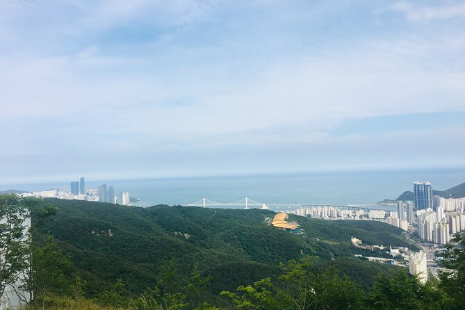 Private Busan tour with gamcheon culture village and the temple (Customizable) - Lunch, local advice, and the real cost