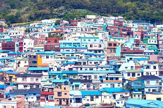 Private Busan Tour with hidden gem of Busan by Local Guide - Gamcheon Culture Village and Its Steep Alleys