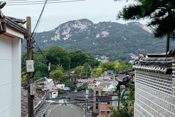 Private City Kickstart Tour: Seoul - A short Seoul orientation with a useful purpose