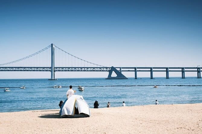Private Custom Tour with a Local Guide Busan - What this private Busan tour is really selling