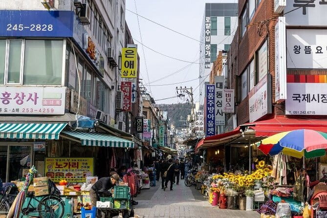 Private Custom Tour with a Local Guide Busan - BIFF Square and Busan’s film identity