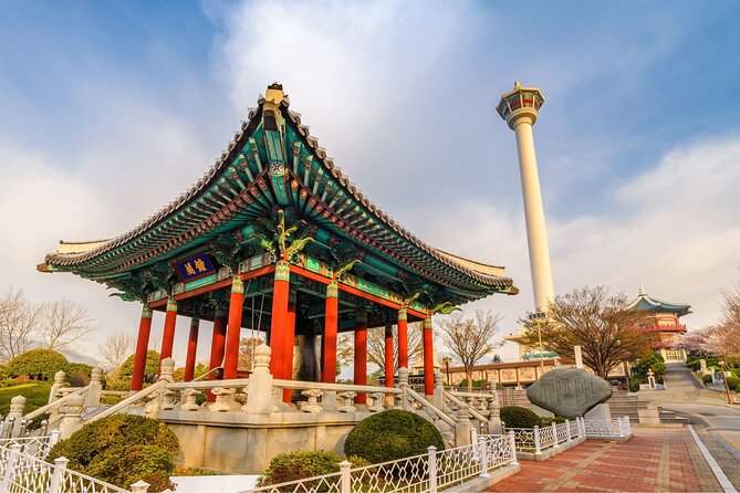 Private Custom Tour With a Local Guide in Busan - Why a private Busan tour can be useful