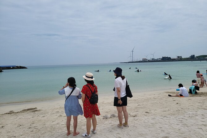 Private Day tour East & south & west of All area in jeju island - What this Jeju taxi tour is really offering
