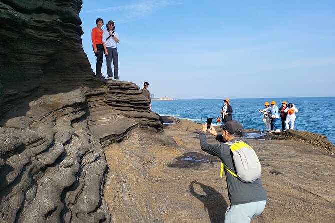 Private Day tour East & south & west of All area in jeju island - Western Jeju: tea fields, windmills, and beaches