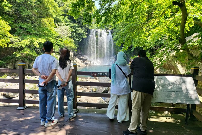 Private Day tour East & south & west of All area in jeju island - Eastern Jeju: beaches, sunrise, and volcanic drama