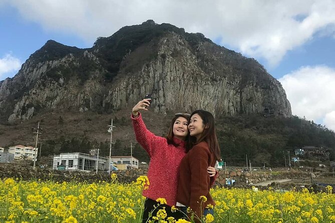 Private Day Tour in South and West in Jeju Island - Basalt columns at Daepo Jusangjeolli Cliff