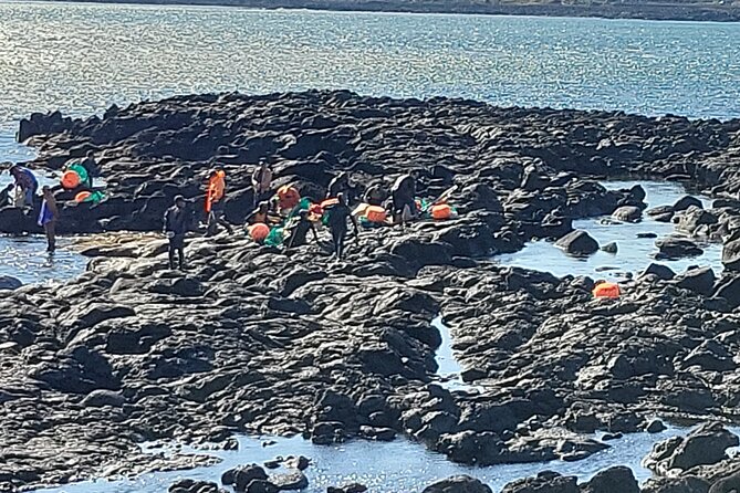 Private Day Tour With Best Jumbo Taxi Driver Tour in jeju island - Woljeong-ri Beach: a gentle start by the cafés