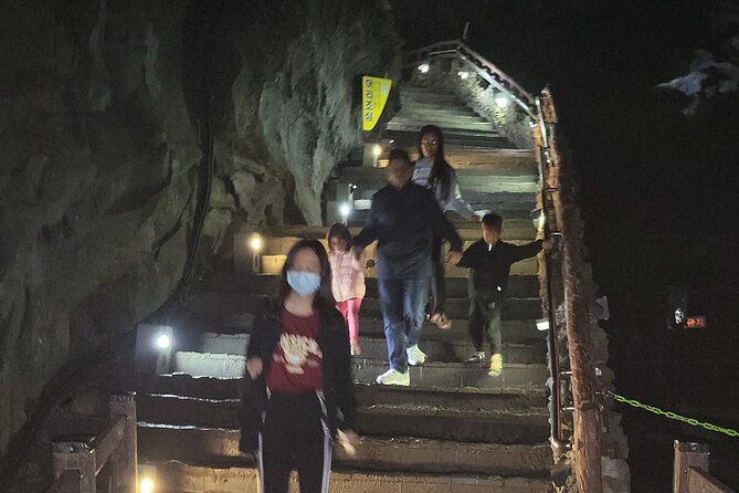 Private Day Tour With Best Jumbo Taxi Driver Tour in jeju island - Jeju Stone Park: island culture told through rock
