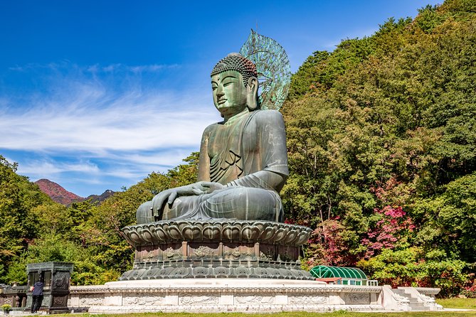 Private Day Trip to Seoraksan National Park - The long morning drive to Seoraksan