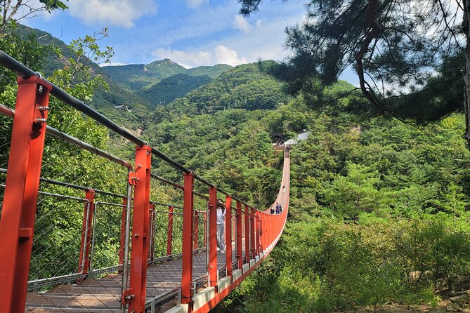Private DMZ Tour and Suspension Bridge + Korean BBQ - Korean BBQ or ginseng chicken soup makes lunch count