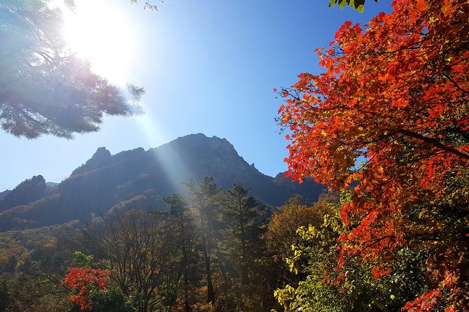 Private English Speaking Driver: Seoraksan & East Sea or Nami Island from Seoul - Starting with Seoraksan National Park