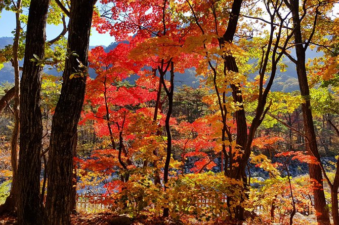 Private English Speaking Driver: Seoraksan & East Sea or Nami Island from Seoul - Choosing the East Sea after the mountains