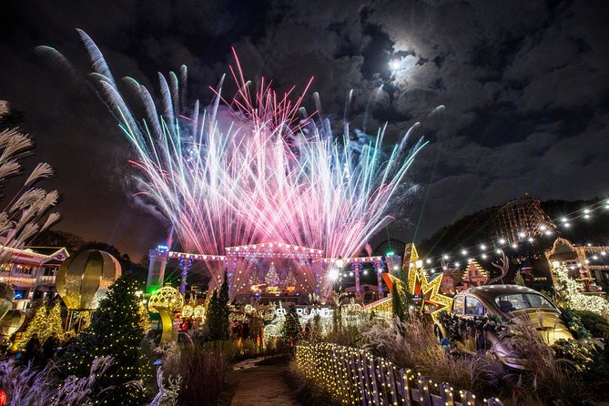 Private Everland Theme Park tour - Entering Everland and finding your first priority