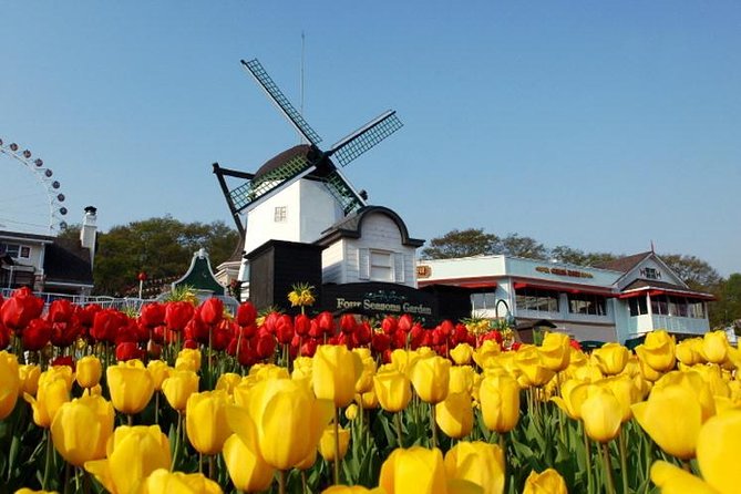 Private Everland Theme Park tour - Making the five-hour park visit work