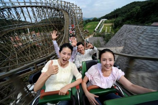 Private Everland Theme Park tour - What $220 per person really buys