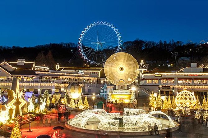 Private Everland Theme Park tour - Who will get the most from this tour