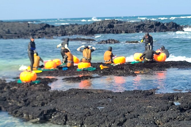 PRIVATE Flexible Tour Cruise Ship international ferry terminal - Who will enjoy this Jeju shore excursion