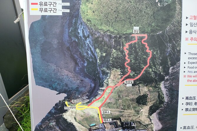 Private Full Day Tour World Natural Heritage & UNESCO in jeju - Lunch, timing, and the real pace of the day
