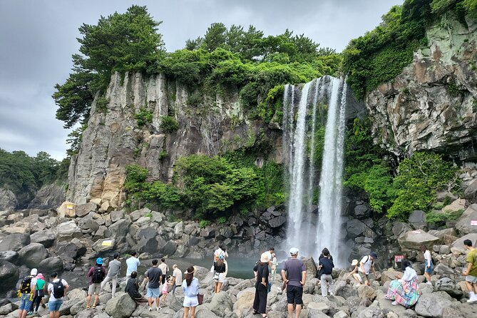 Private Half Day South and West Tour in Jeju Island - O’sulloc Tea Museum: a welcome pause