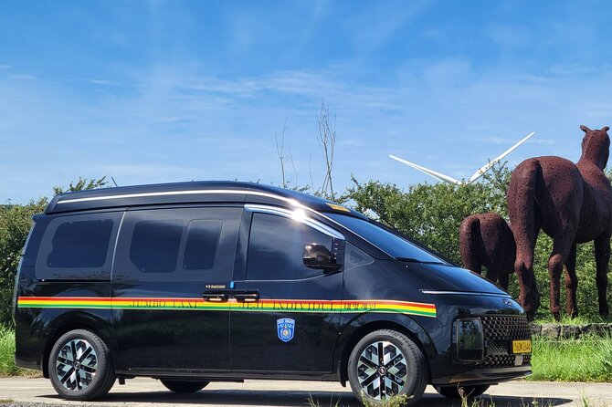 Private Half-Day Udo Tour in Jeju Island - The driver’s role and language expectations