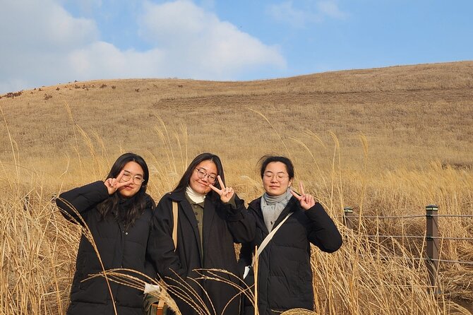 Private Half-Day Udo Tour in Jeju Island - The ferry rules that can change your day