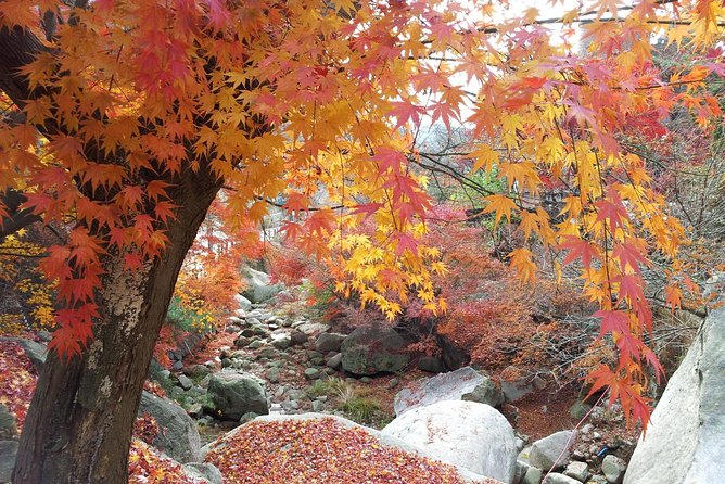 Private Hiking to Bukhansan & Korean Style Spa(Include Lunch) - Who should book this day?