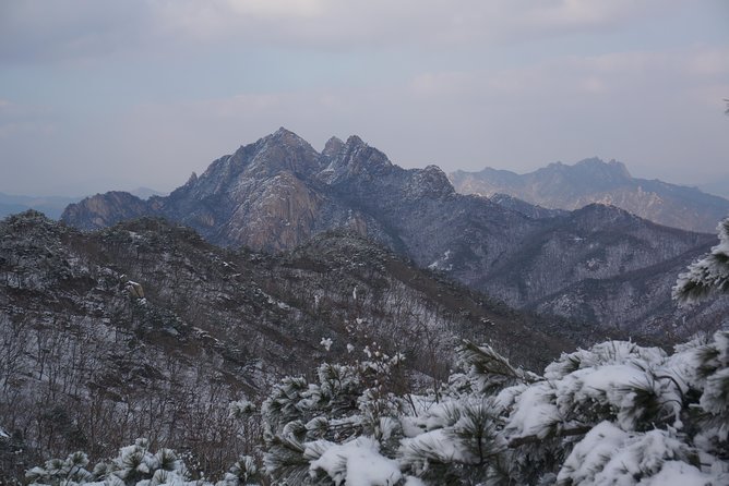 Private Hiking tour to Bukhansan Peak(Baegundae: 836.5m) with Mountain Expert - Why Bukhansan Works So Well From Seoul