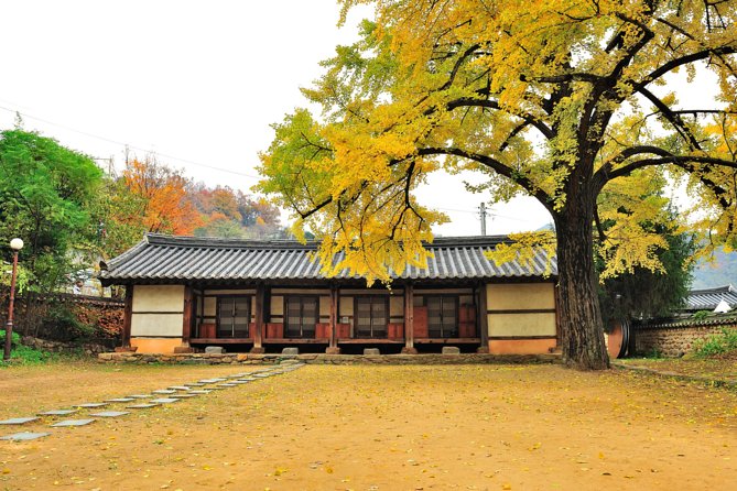 Private Jeonju Hanok Village - Culinary tour - What the private format is really worth