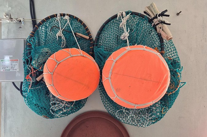 Private Meeting with a Haenyeo: Jeju Shore Excursion - Questions to ask before your port day