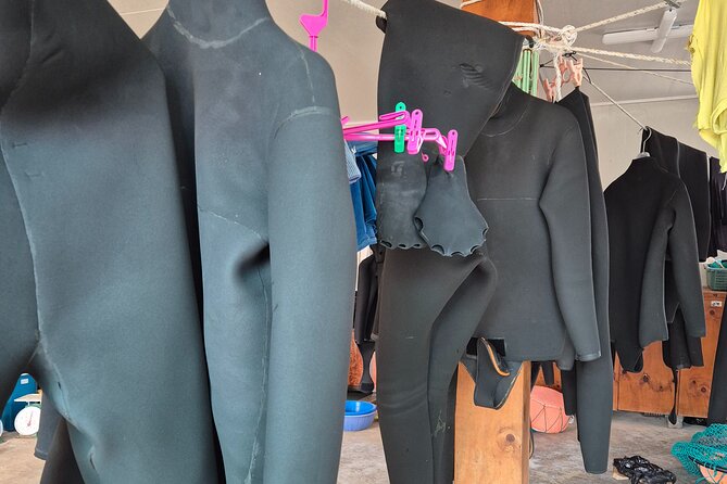 Private Meeting with a Haenyeo: Jeju Shore Excursion - Choosing between Dongmun and Seogwipo markets