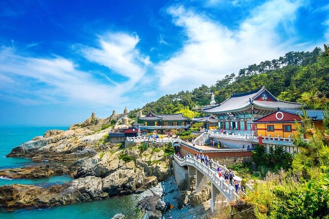 Private Minibus Tour in Busan for Cruise Ship Guests 8-15 People - Why This Busan Tour Makes Sense From a Cruise Ship