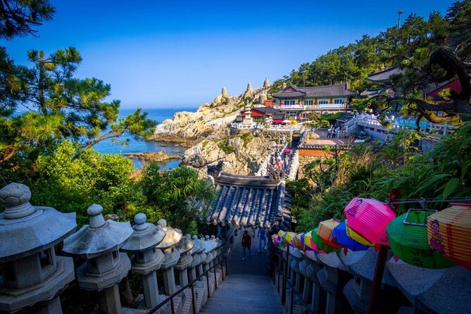 Private Minibus Tour in Busan for Cruise Ship Guests 8-15 People - Cheongsapo Daritdol Skywalk and the Eastern Coast