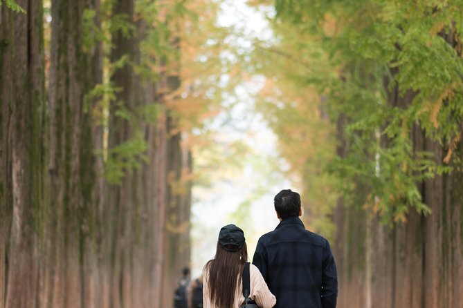 Private Nami Island Photo Shoot and Tour with a Photographer - Why Nami Island works well for a photo day
