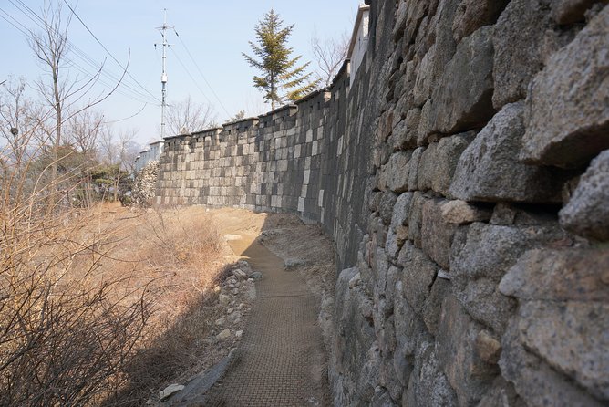 Private Seoul Wall Trekking [Inwangsan, Bugaksan, Naksan Park, N-Seoul Tower] - The guide can make or break a demanding day