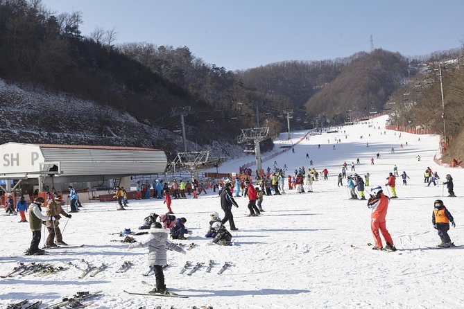 Private Ski Tour(Lesson) near Seoul at Elysian Gangchon Resort - Key points at a glance